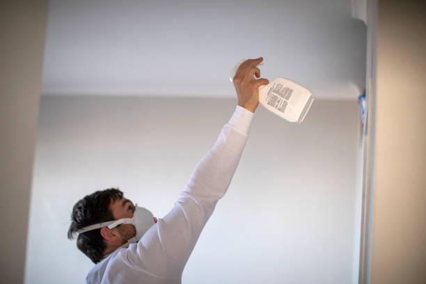 Best Mold Removal Company Near Me  in Maugansville, MD